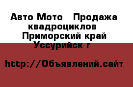 Авто Мото - Продажа квадроциклов. Приморский край,Уссурийск г.